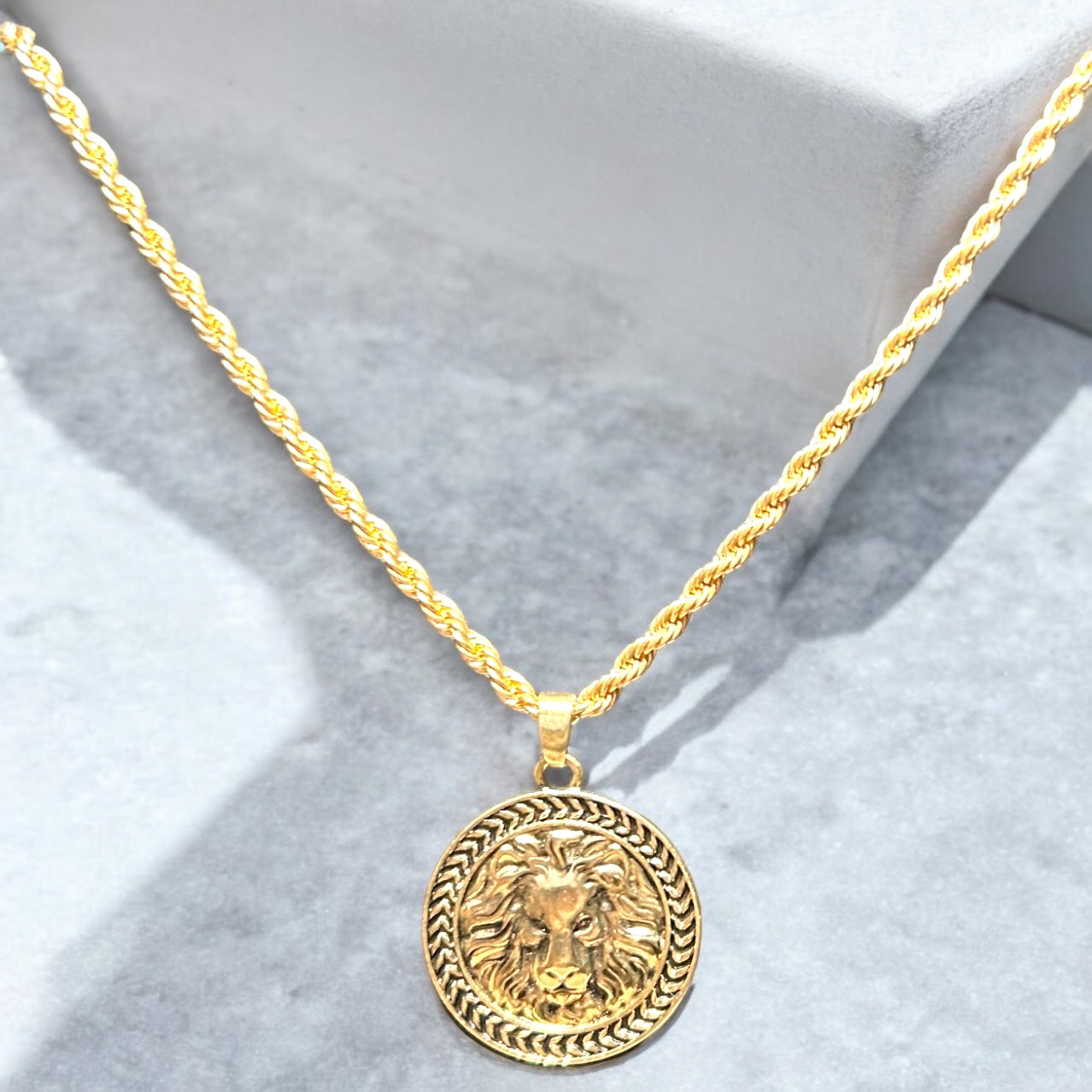 Lion Pendant & Rope Chain